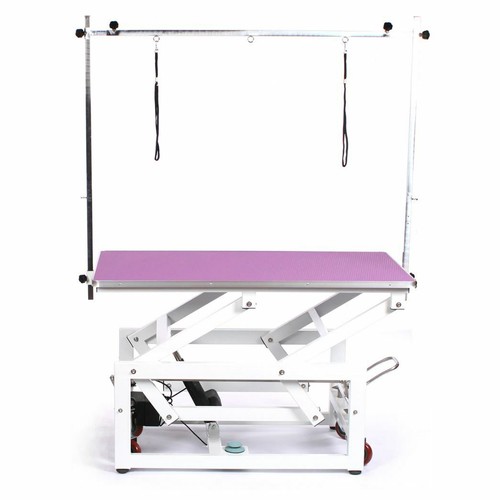 Electric large dog - , pet