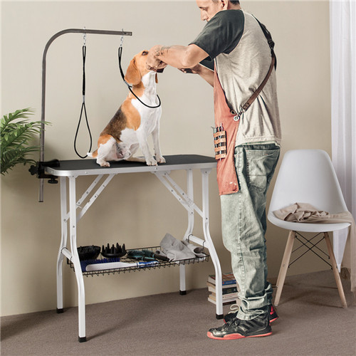 159cm pet grooming - pet,