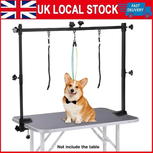 Dog pet grooming - dog, table