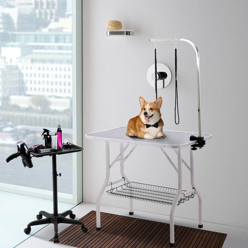 Large dog grooming table - grooming,