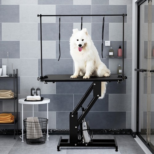 Pet dog cat extra large - pet,