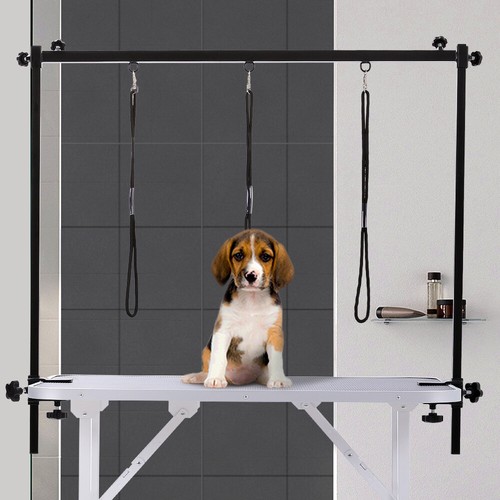Dog pet grooming table - pet,