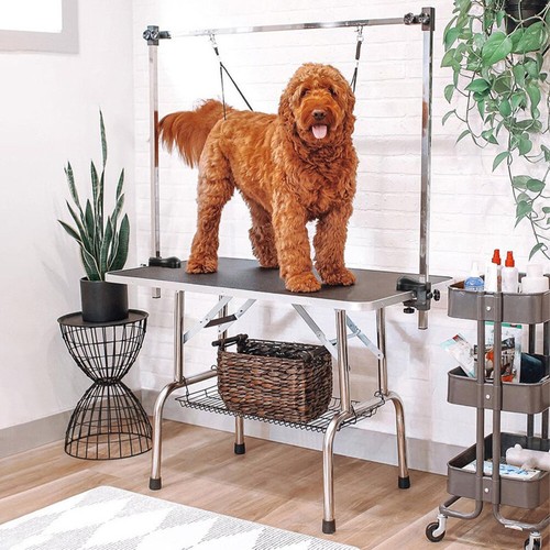 Large pet foldable - large, grooming