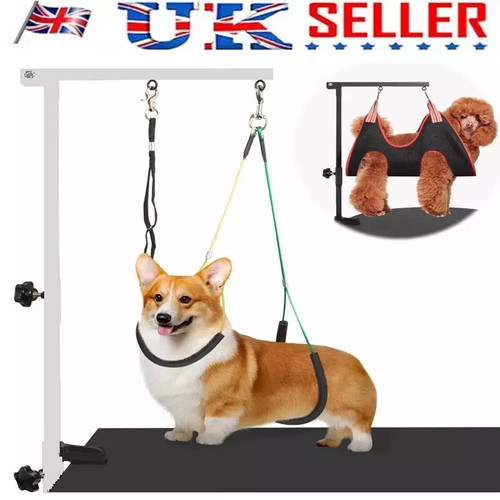 Dog grooming table - dog,