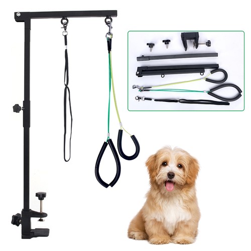 Pet dog grooming table - grooming,