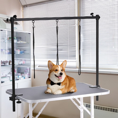 Adjustable dog grooming table - dog,