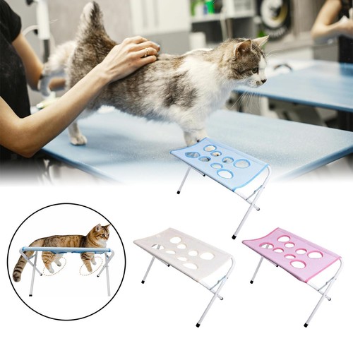 Pet grooming table washing - pet,