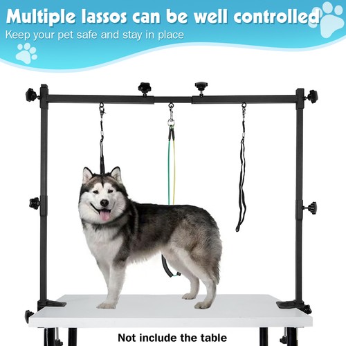Dog pet grooming - dog,