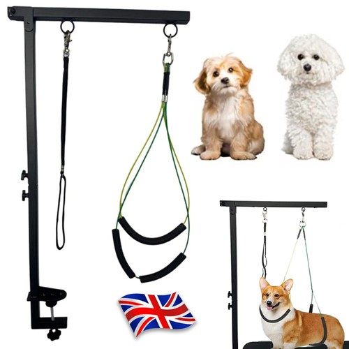 Pet grooming arm clamp - grooming,