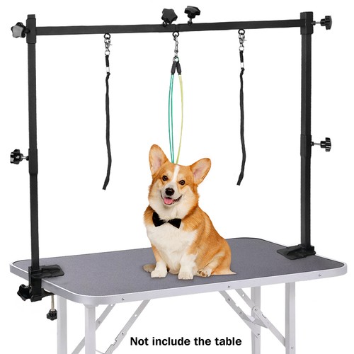 Dog pet grooming - pet,