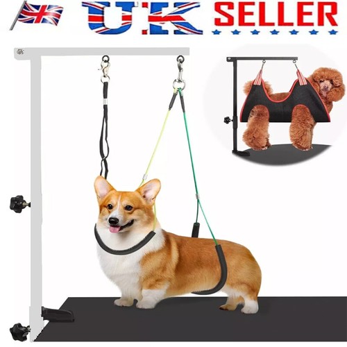 Adjustable height dog - 35",