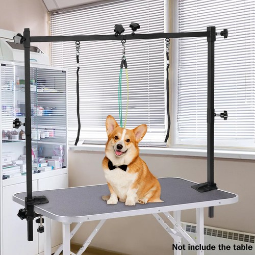 Dog pet grooming - uk,