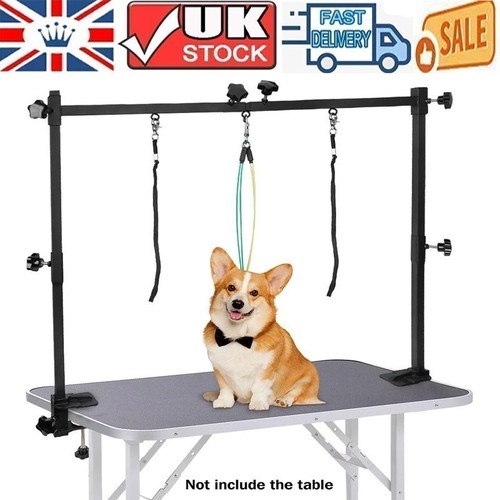 Dog pet grooming - dog, table