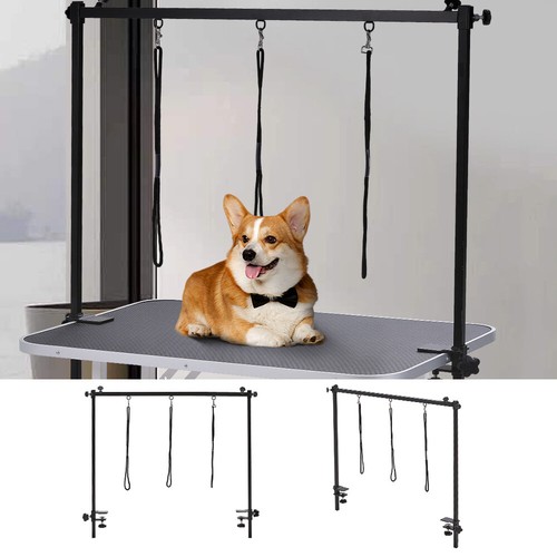 Dog pet grooming - grooming, table