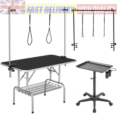 Pet dog cat grooming - cat, table
